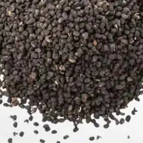 Bakuchiol - Ingrédients Cosmétiques