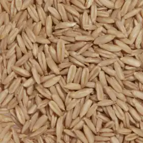 Bêta-Glucane - Ingrédients Cosmétiques