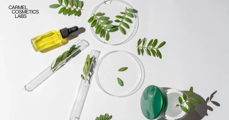 Breakthroughs in Ingredient Technology and Packaging Trends in the Cosmetics Industry