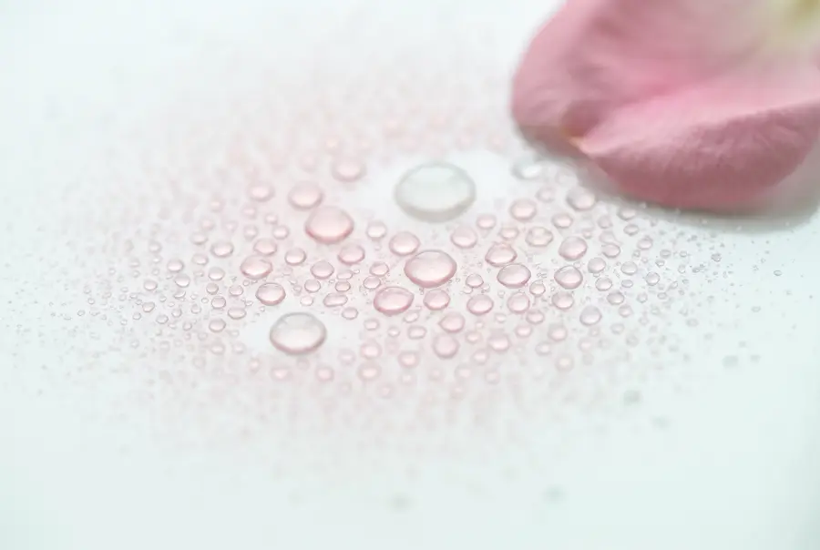 Texture brume intime à la rose de damas en gros plan